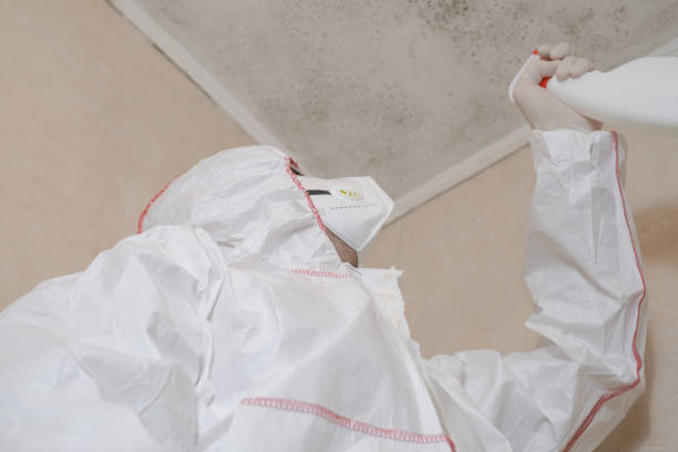 Best Office Mold Removal Services  in Mill Valley, CA